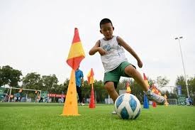 新鹏城官方：中超收官战主场vs成都票价全场60元，地点在肇庆