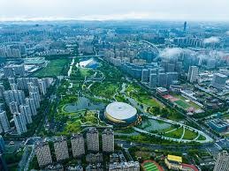 铿锵玫瑰！巴黎奥运会上闪耀的中国姑娘