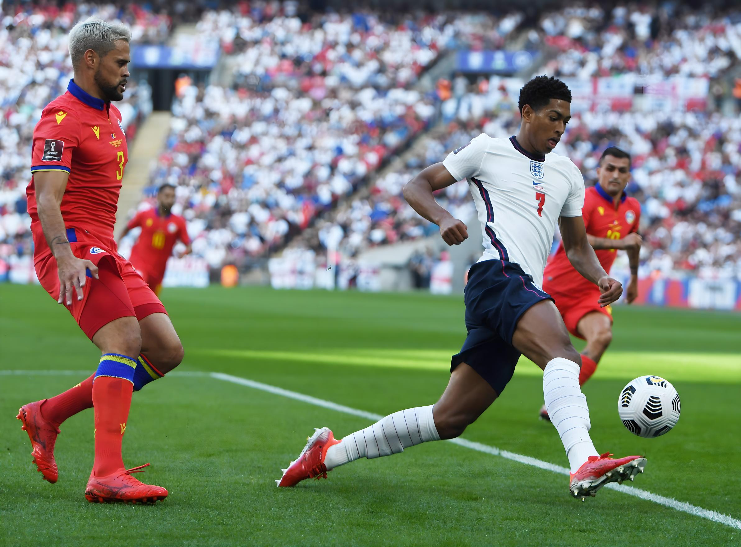 对支持者的 对支持者的